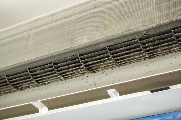 Best HVAC Duct Inspection Services  in Washington Park, IL